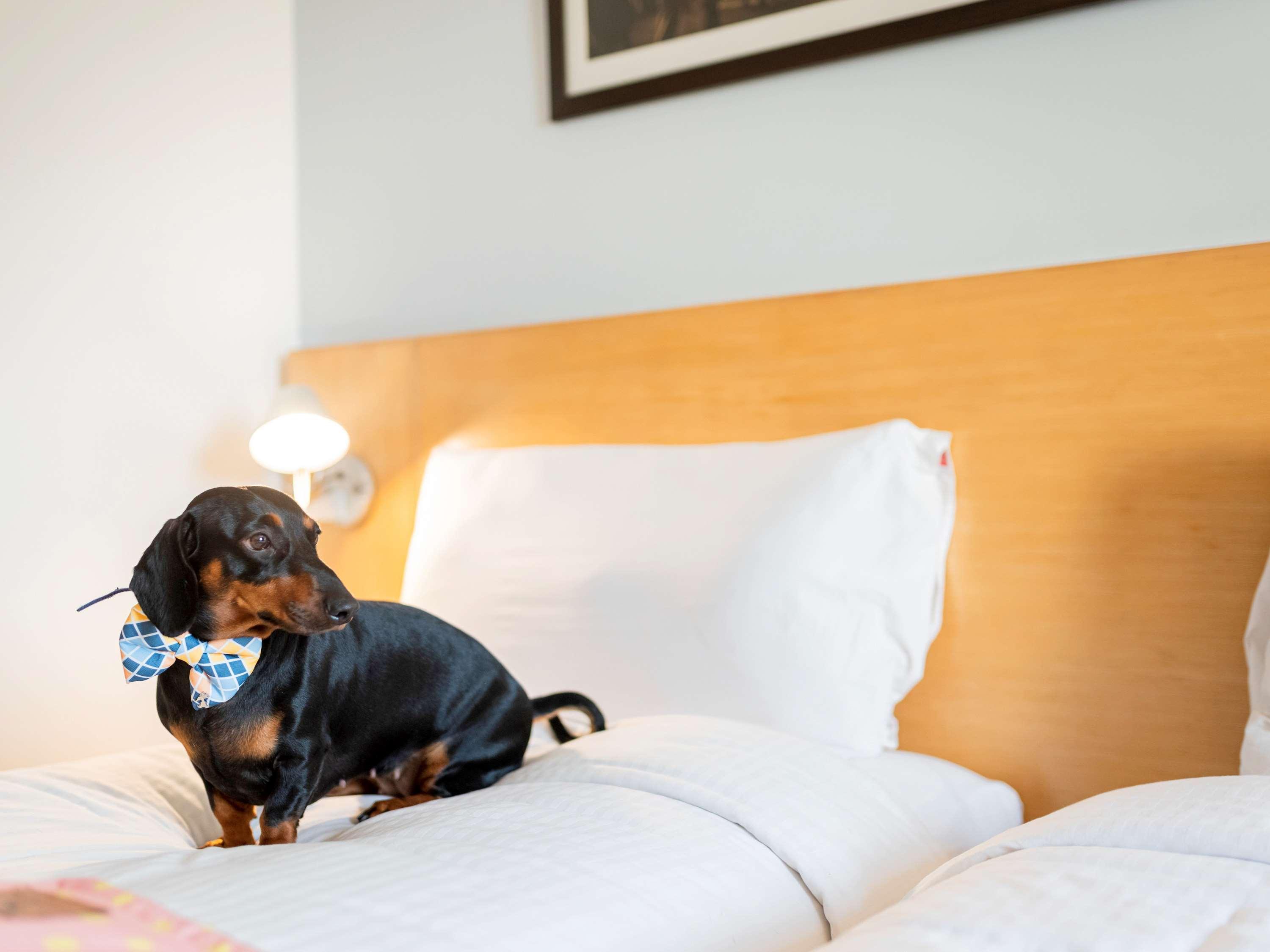 Hotel Ibis Gurgaon Golf Course Road - An Accor Brand Esterno foto