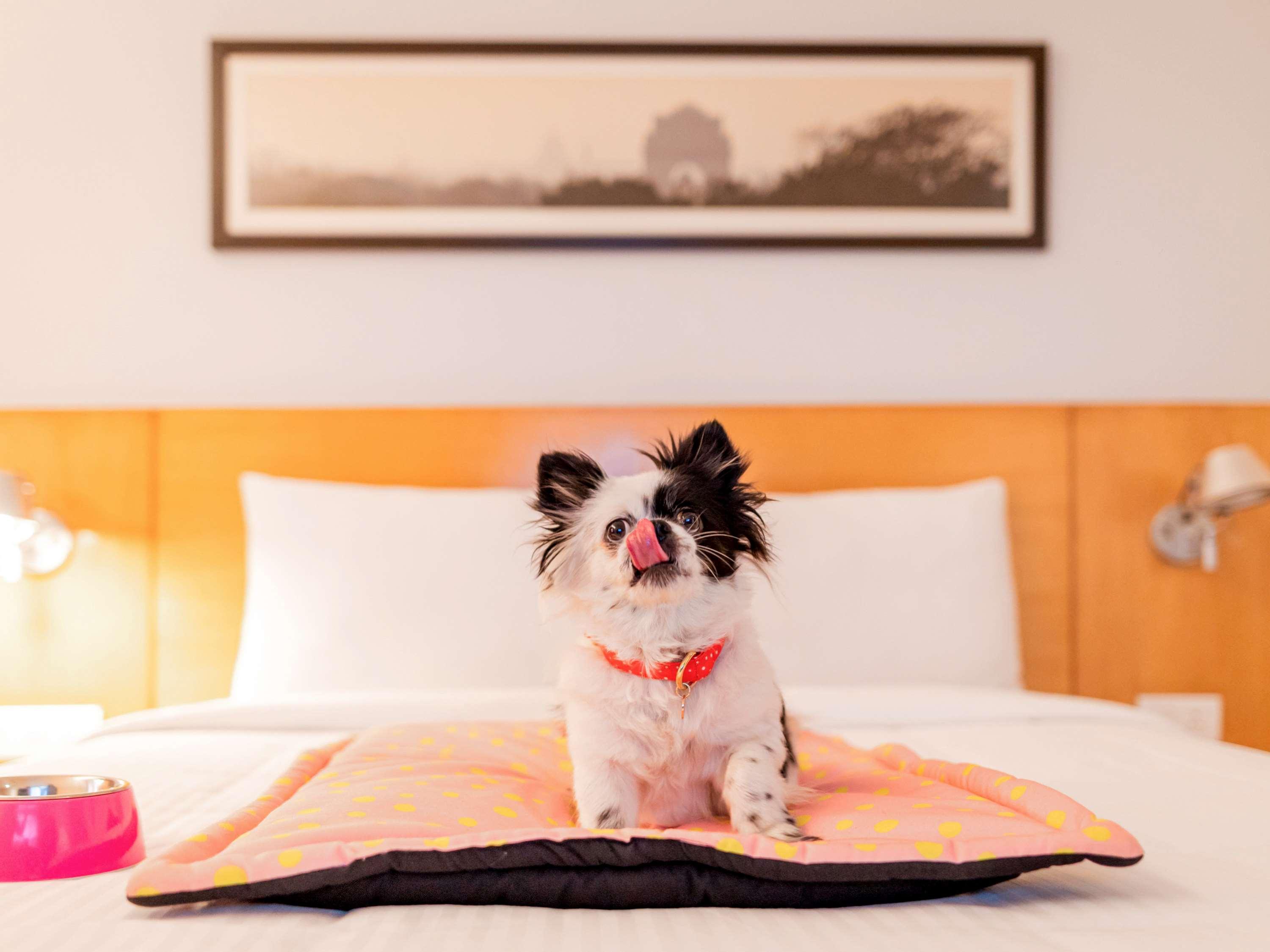 Hotel Ibis Gurgaon Golf Course Road - An Accor Brand Esterno foto