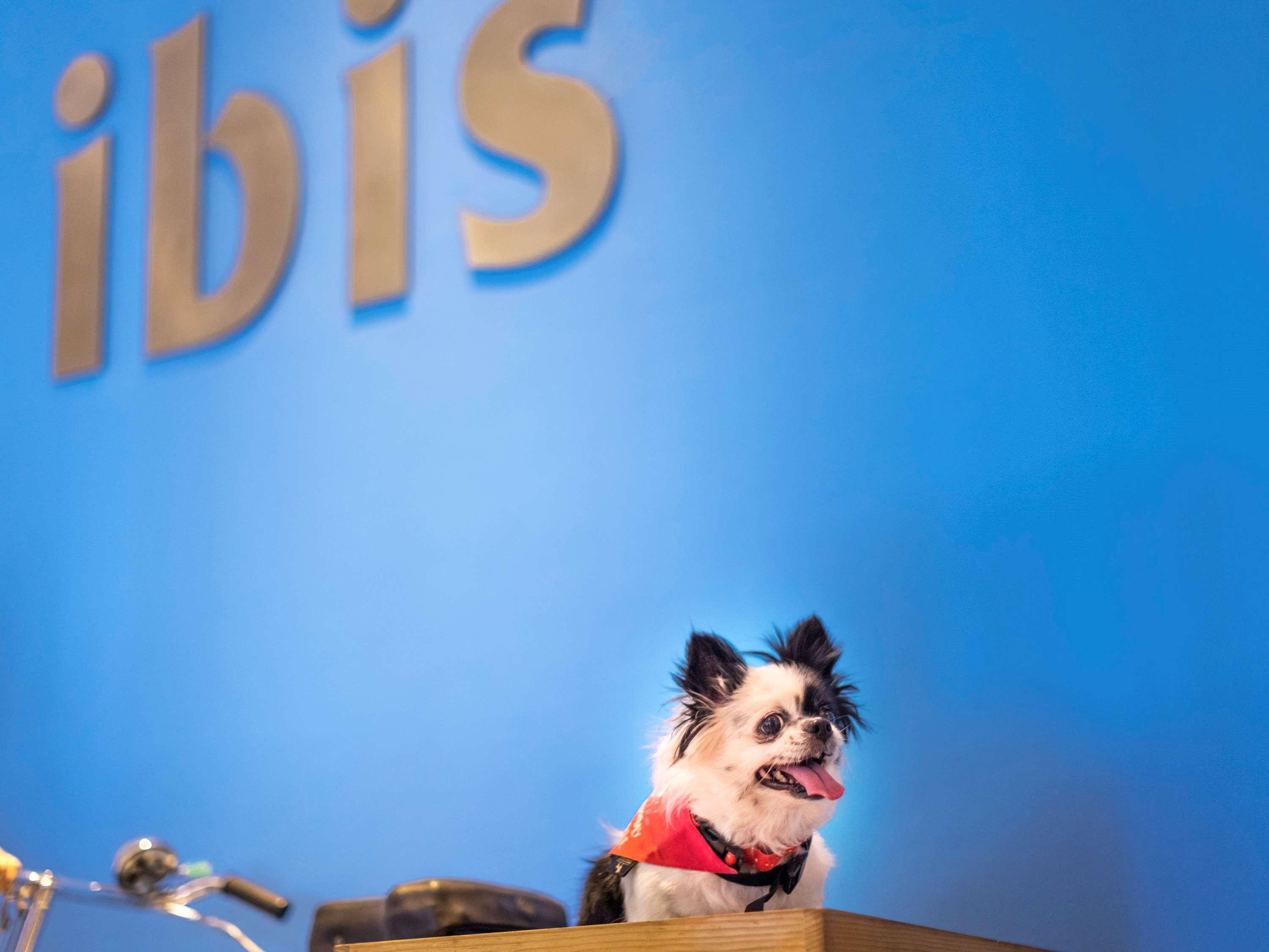 Hotel Ibis Gurgaon Golf Course Road - An Accor Brand Esterno foto
