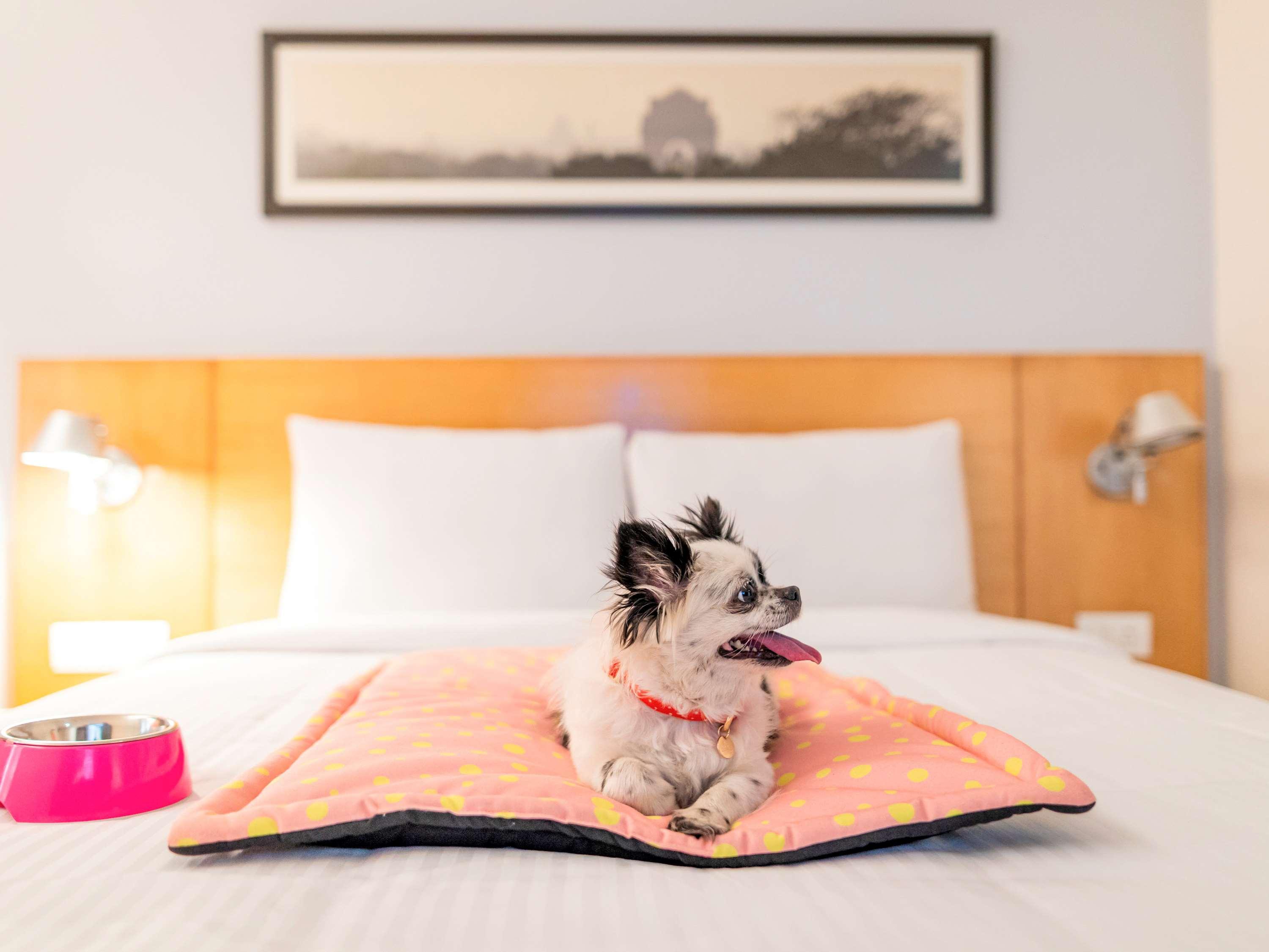 Hotel Ibis Gurgaon Golf Course Road - An Accor Brand Esterno foto